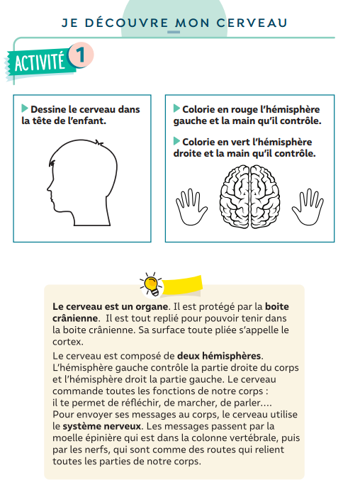 Le Cerveau RPI St Poix Laubri res